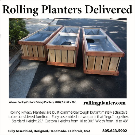 t.DELIVERY.PLANTERS.KLEIN.SM.SQ