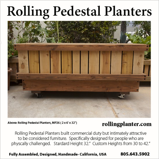 t.PEDESTAL.PLANTERS.MP6HOLLY2.SQ