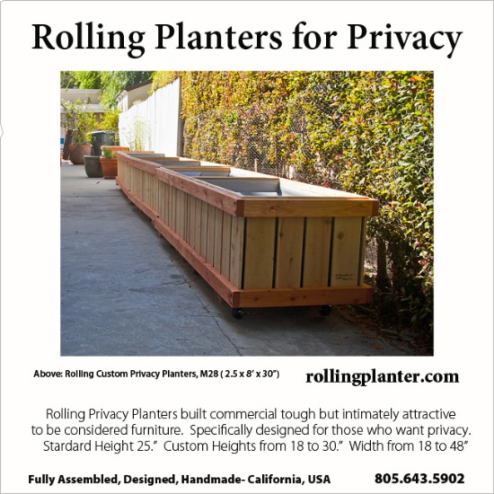 t.PRIVACY.PLANTERS.KLEIN.SQ